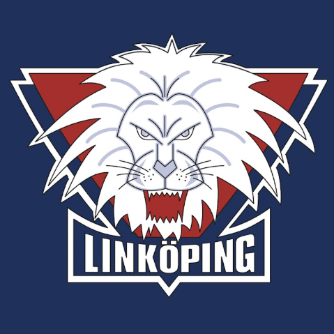 Linköpingssnack